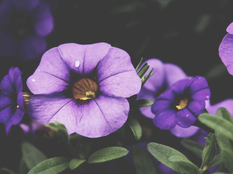 sudoku full version screenshot 4